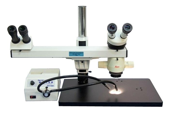 Used Leica MZ6 Dual View Teaching Stereo Microscope w/ Ring Light & Illuminator 7106