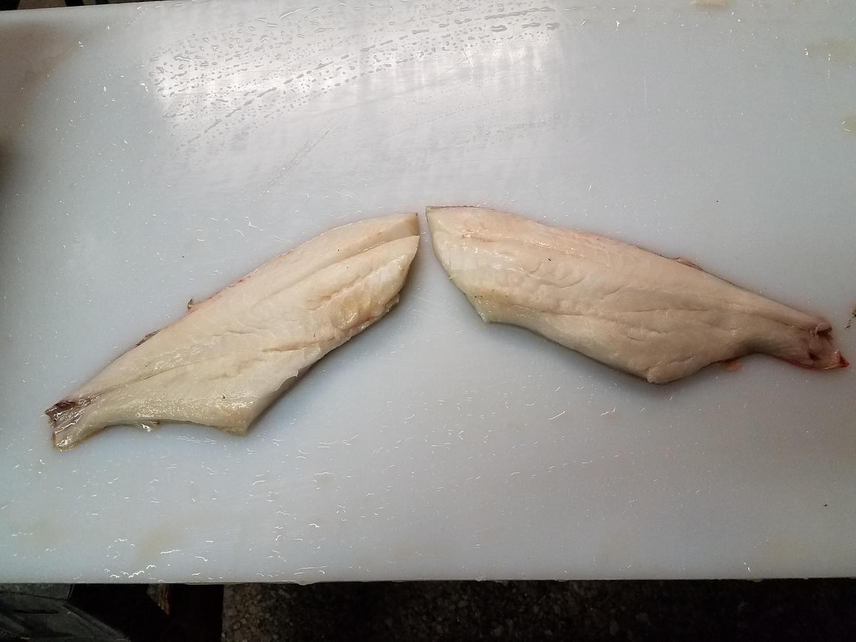 Refurbished Piscis FR200 "J Type"