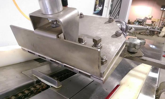 Used Custom Meat Extruder