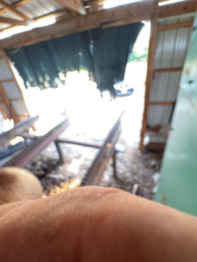 Used Complete Helle Circular Mill