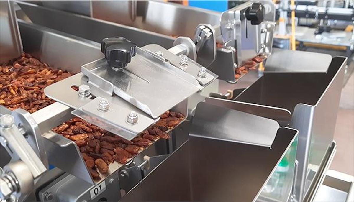 Dosatore a canali vibranti per spezie – DCV1