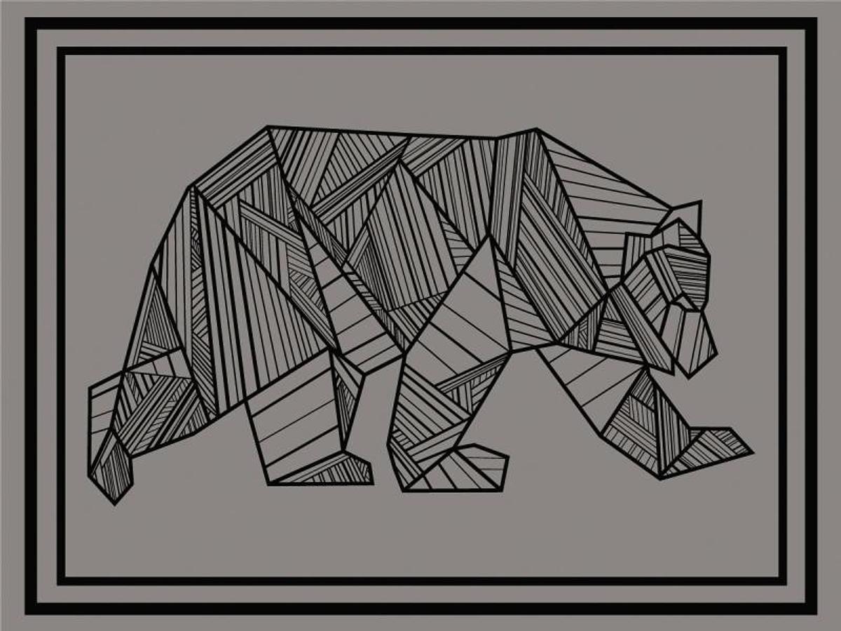 Bear Outdoor Mat 12' X 9' Grey/black