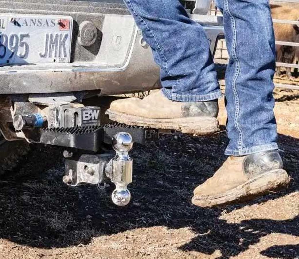 Stow And Go Hitch Step