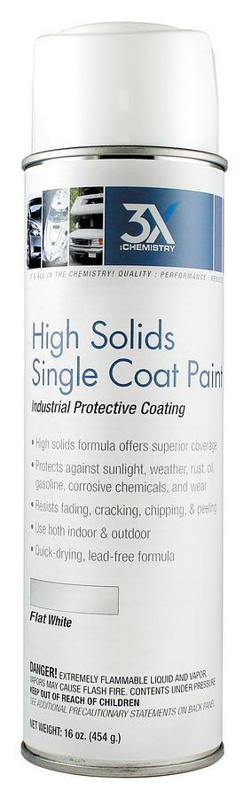 Industrial Protective Coating 16 Oz. - Flat White