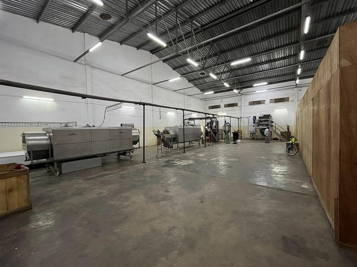 Used Hebenstreit Savoury extruded snack line