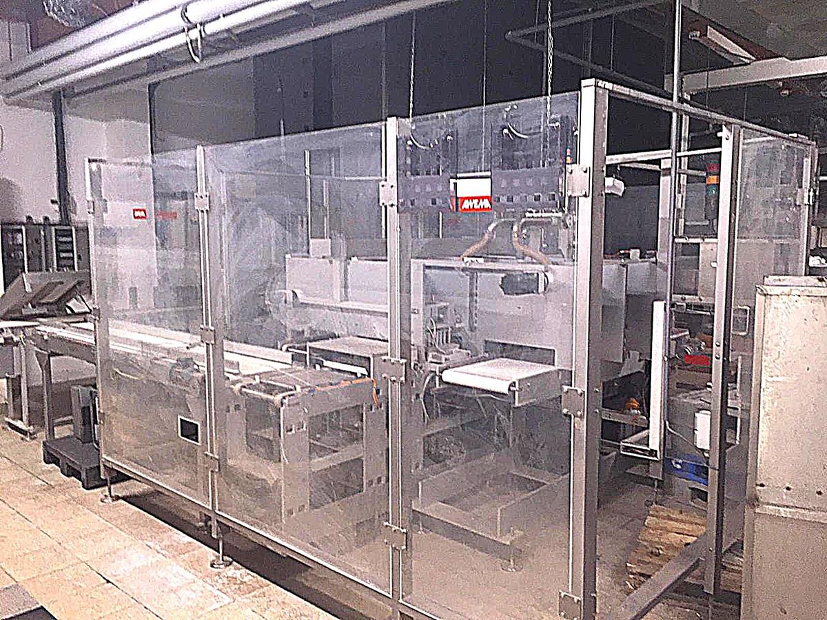 Used AWEMA moulding line