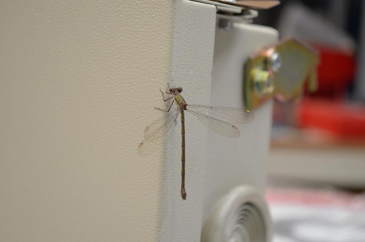 Usado Taladro sobremesa correas MG BMT 465 BT