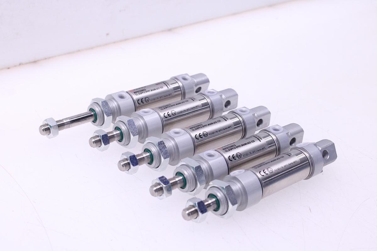 Usado Actuador Neumático AIGNEP MF0250025 - 5 Unidades