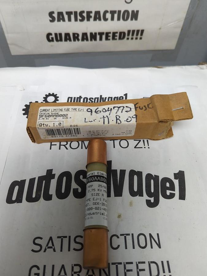 GENERAL ELECTRIC,9F60AAB002,CURRENT LIMITING 2E AMP FUSE