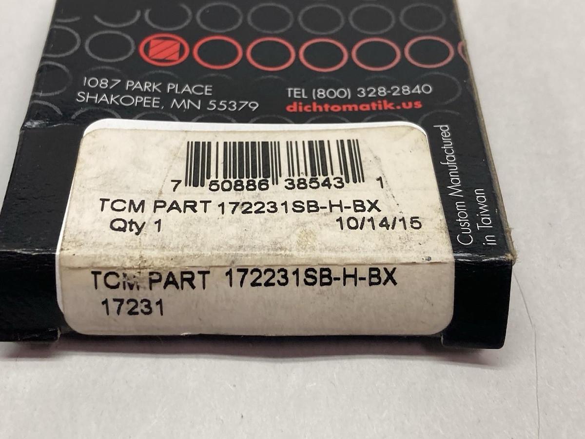 Dichtomatik,172231SB-H-BX,TC Double-Lip with Inner Spring