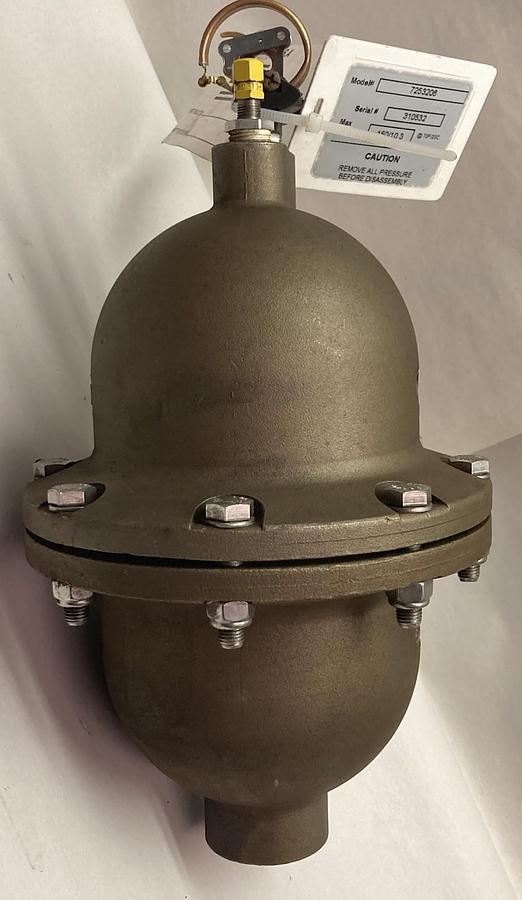 ProMinent,7253206,Stainless Steel Relief Valve 150/10.3 PSI Max