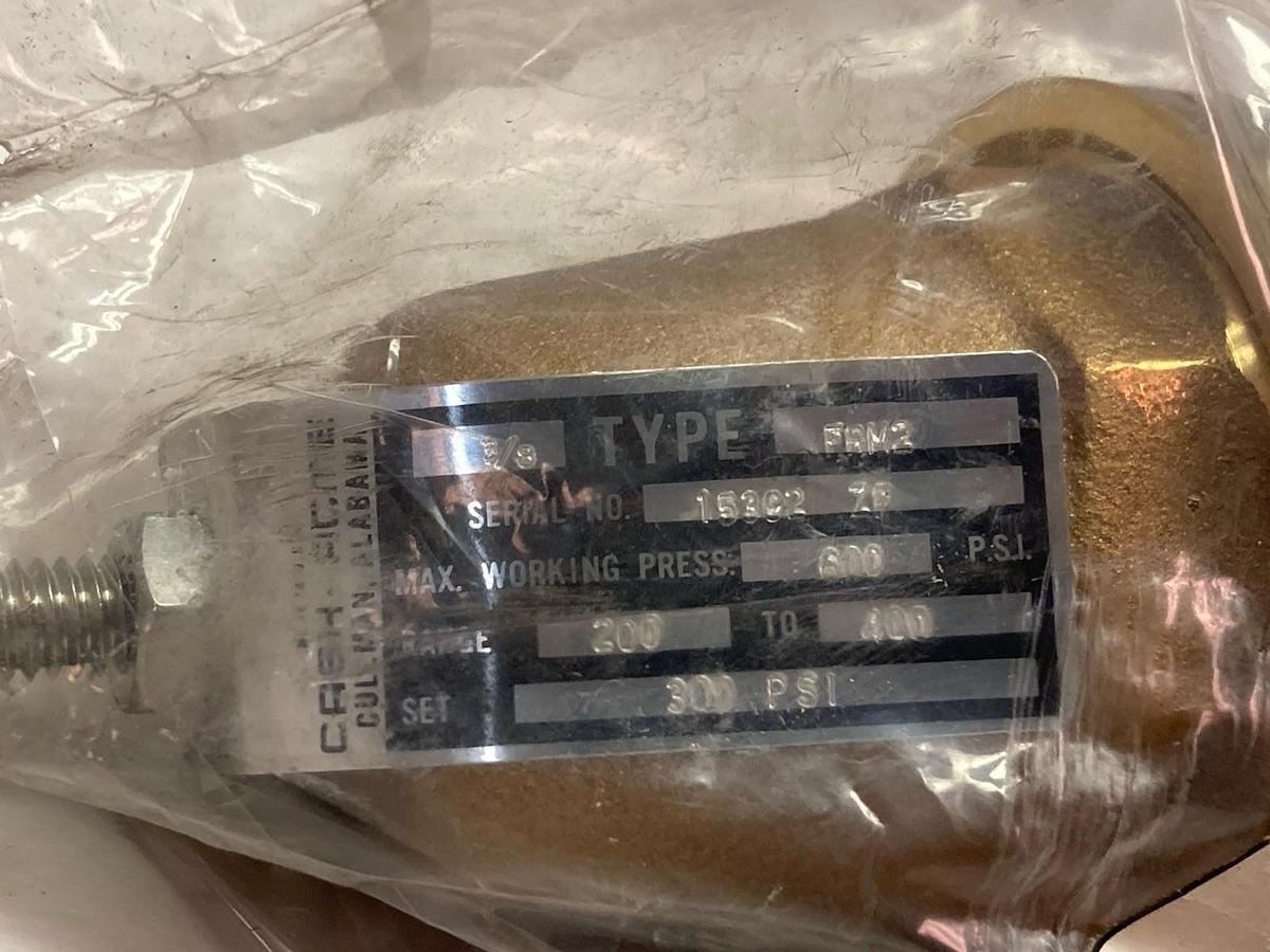 Cash Acme,15392-0300,Back Pressure Valve 3/8 Inch Type FRM2 300PSI