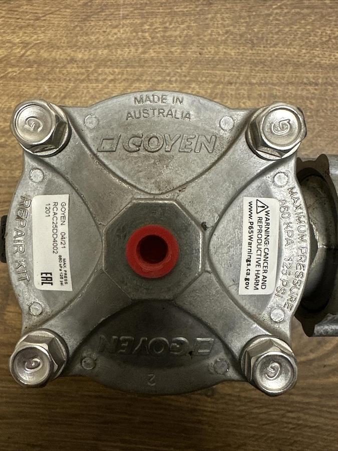 Goyen,RCAC25DD4002,Valve