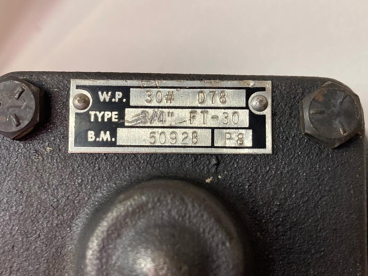 Used Bargo,FT-10 50928,Steam Trap 3/4 Inch FNPT