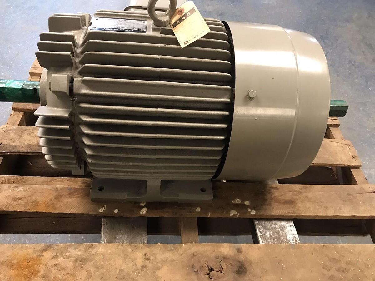 Used Toshiba World Energy,TIKK FBK8,Dual Shaft Induction Motor 15Kw 6 Poles 200-220V