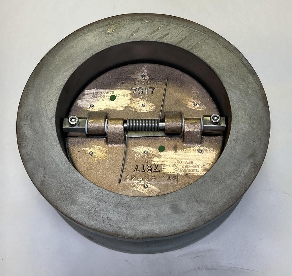 CAMERON TECHNO,6IN 5050,CHECK VALVE 200PSI 300F NOS