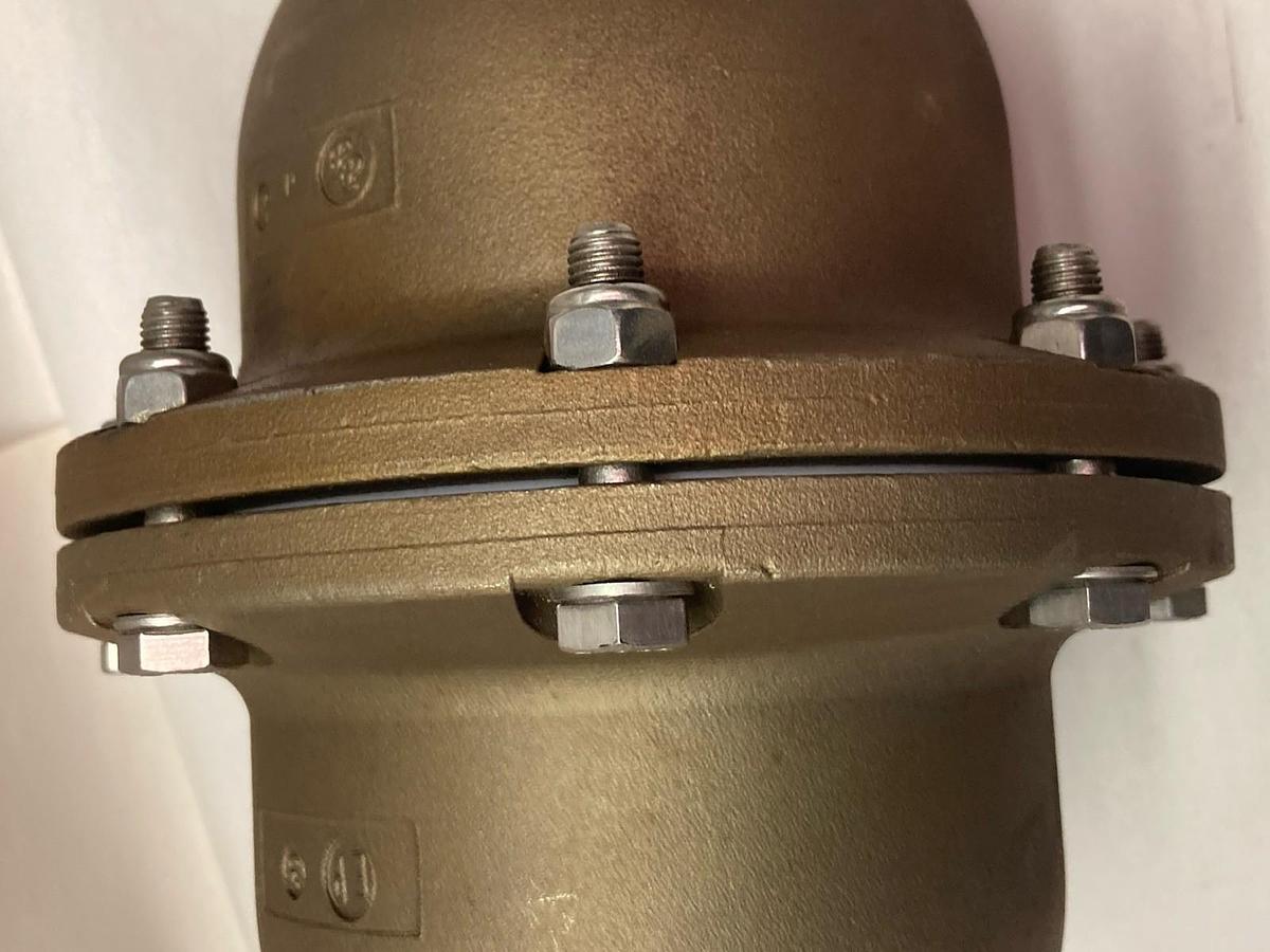 ProMinent,7253206,Stainless Steel Relief Valve 150/10.3 PSI Max