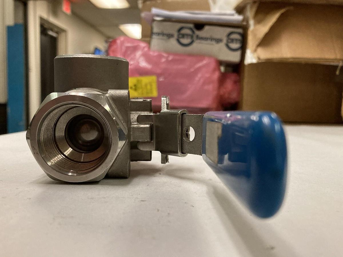 FNW,CF8M,Stainless Steel Valve 1 INCH 1000 WOG Fig.233