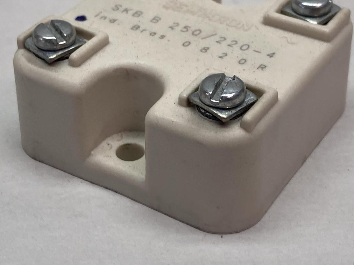 Semikron,SKB B 250/220-4,Power Supply Module 0820R