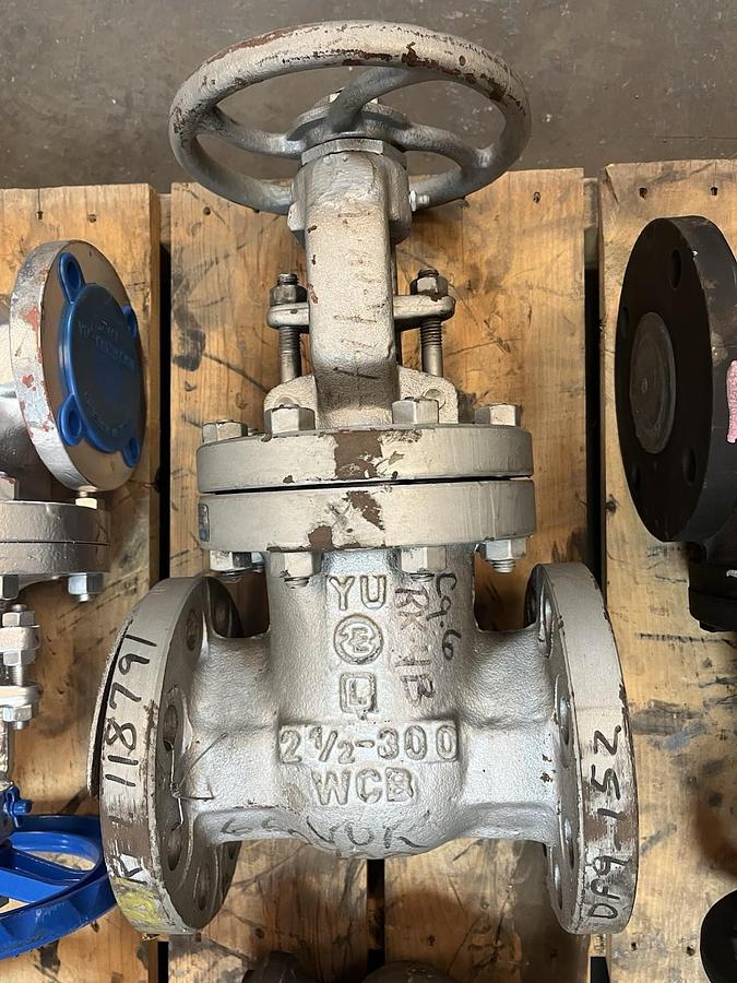 Lunkenheimer,3012,GATE VALVE 2-1/2" CLASS 300 WCB