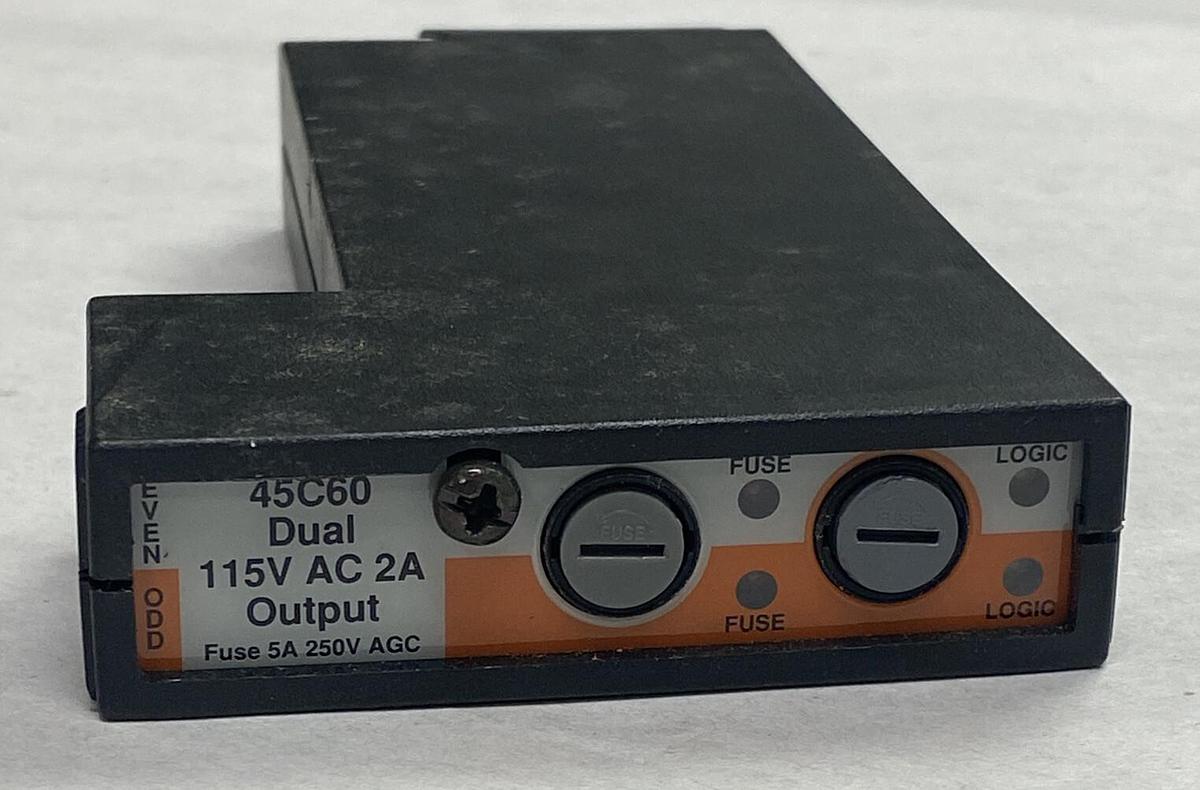 Reliance Electric AutoMate,45C60,Dual Output Module 120V 2A New No Box