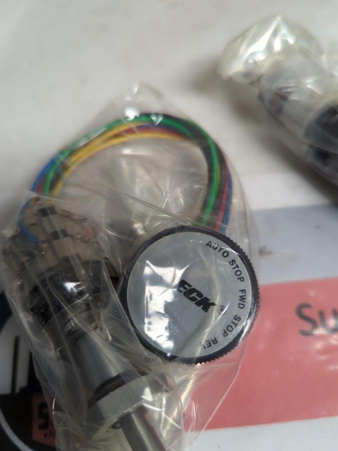 BECK,20-3300-07,SWITCH ASSEMBLY LOT OF 2 NOS