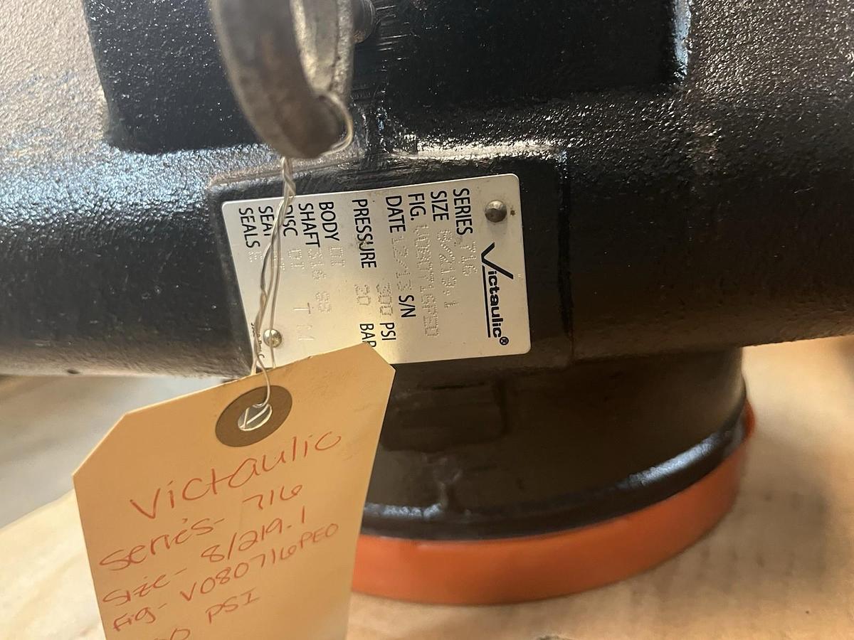 VITAULIC,V080716PE0,SWING CHECK VALVE 8" SIZE 8/219.1 SERIES 716 300PSI