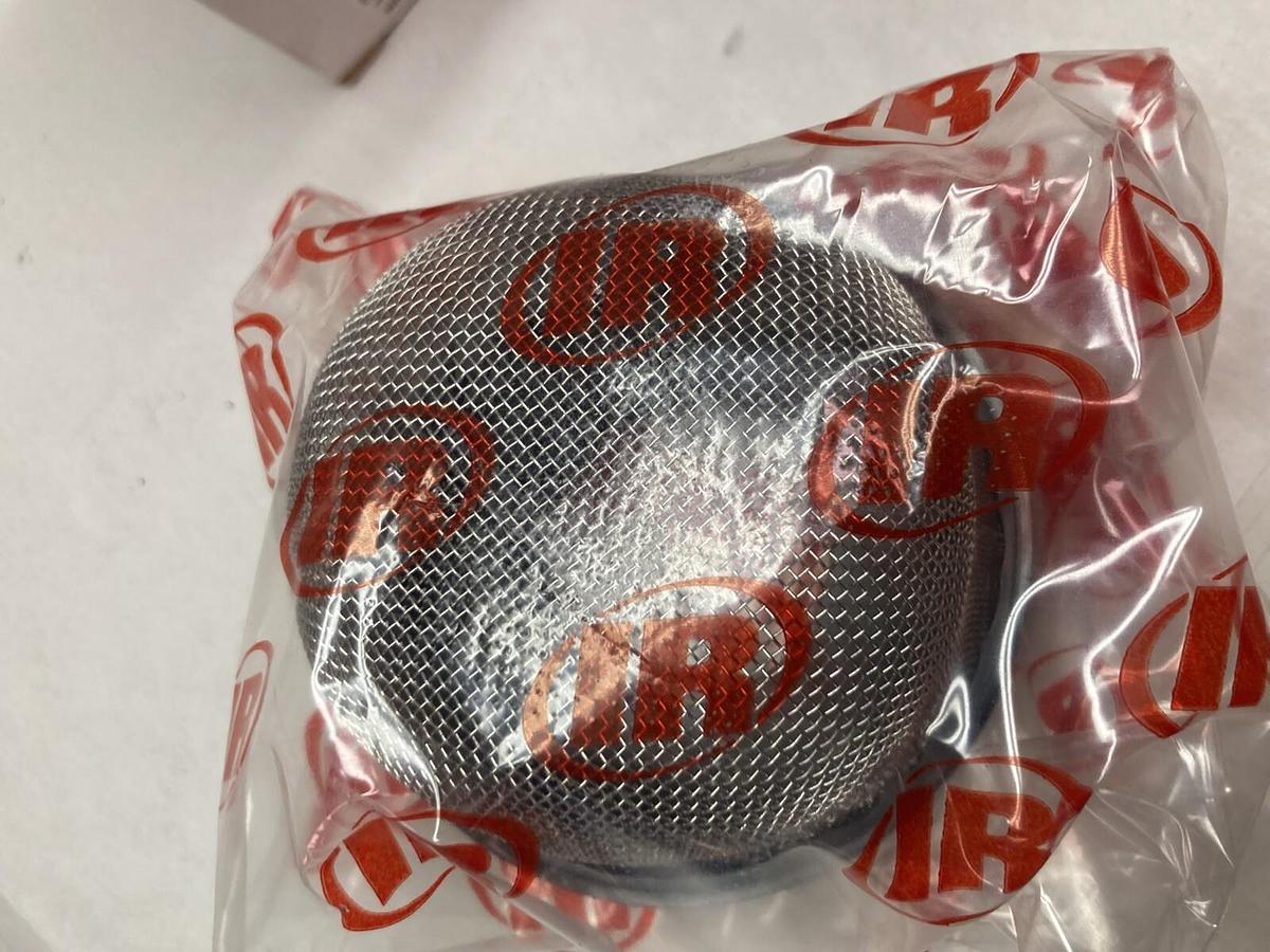 Ingersoll-Rand,68034107,Gas/Liquid Strainer