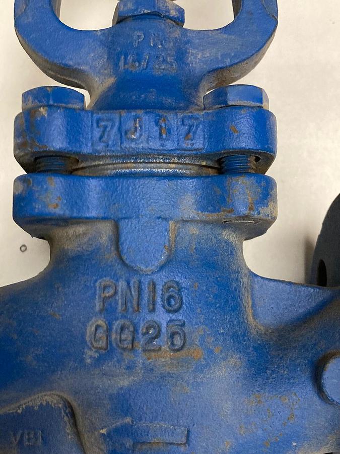 Used Spirax,BSA1 DN25 PN16,Flanged Globe Valve