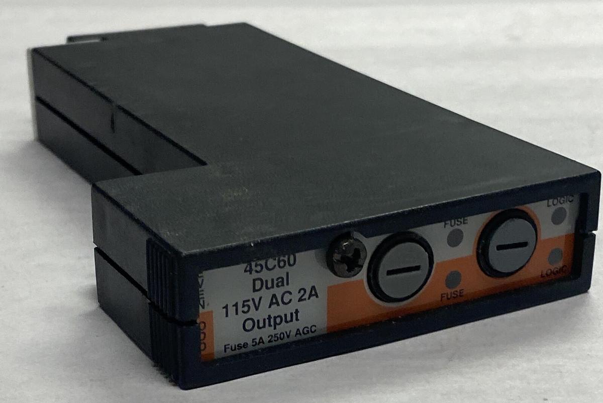 Reliance Electric AutoMate,45C60,Dual Output Module 120V 2A New No Box