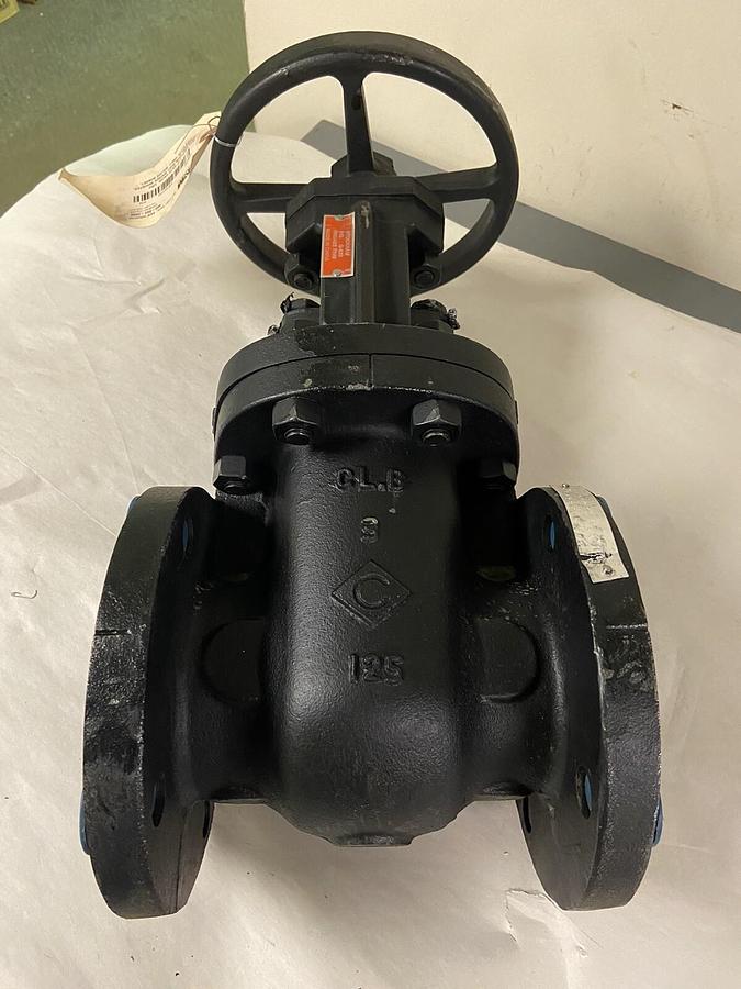 A&M Industrial,457739 STV G623-I,3 INCH Gate Valve 125#