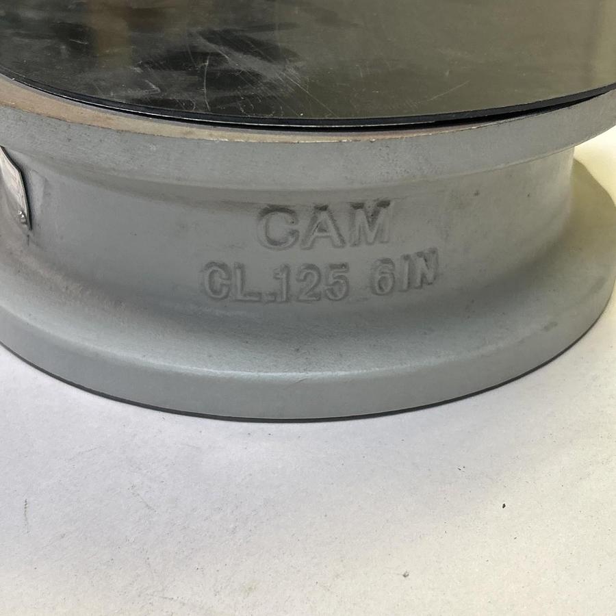 CAMERON TECHNO,6IN 5050,CHECK VALVE 200PSI 300F NOS