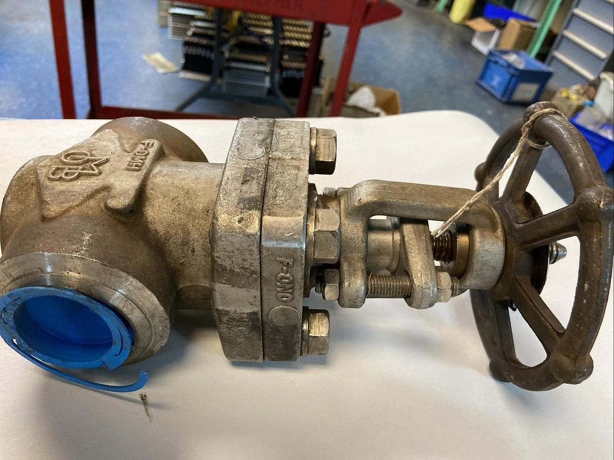 OMB,F316,2 INCH Class 800 818 Gate Valve