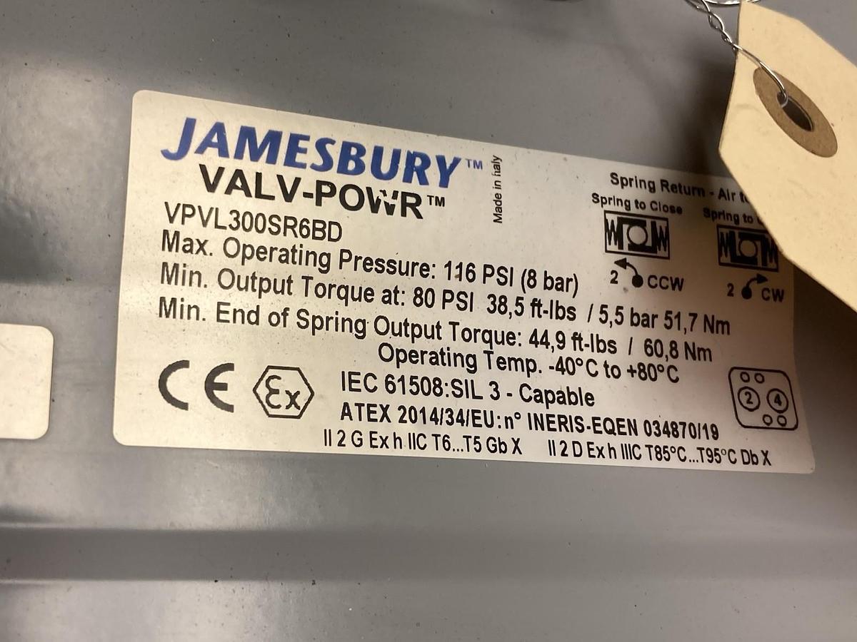 Jamesbury,VPVL300SR6BD,Pneumatic Actuator 2 Inch Valve