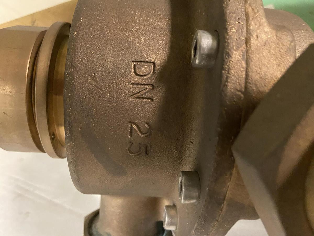 Unbranded,DN 25,1" Steam Pressure Regulator Valve