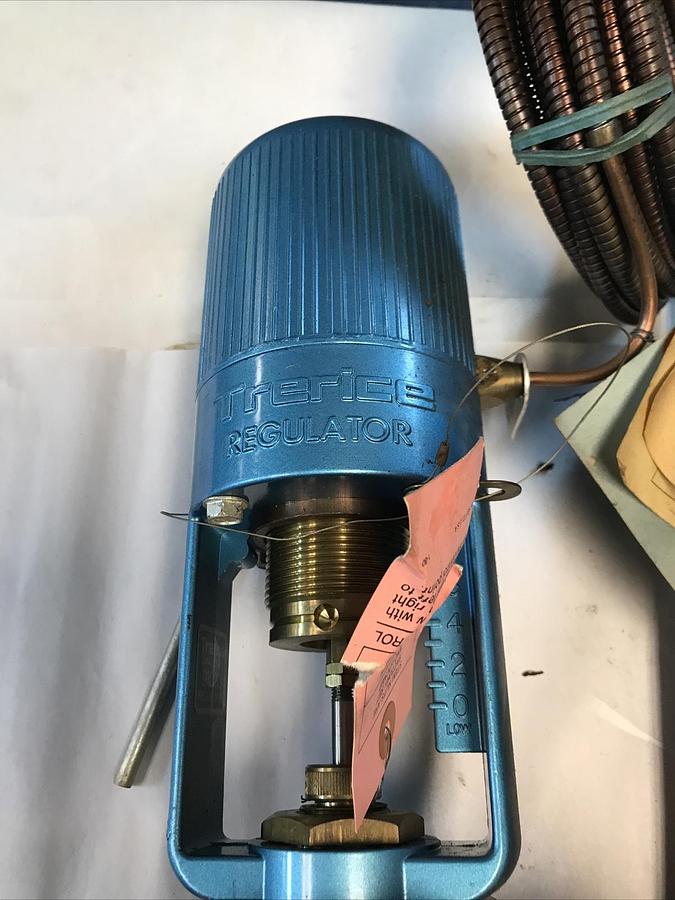 Trerico,91000,Temperature Regulator 2 INCH Valve