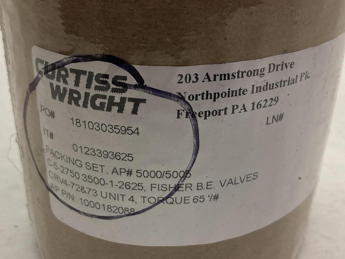 Curtiss Wright,1000182088,Packing Rings