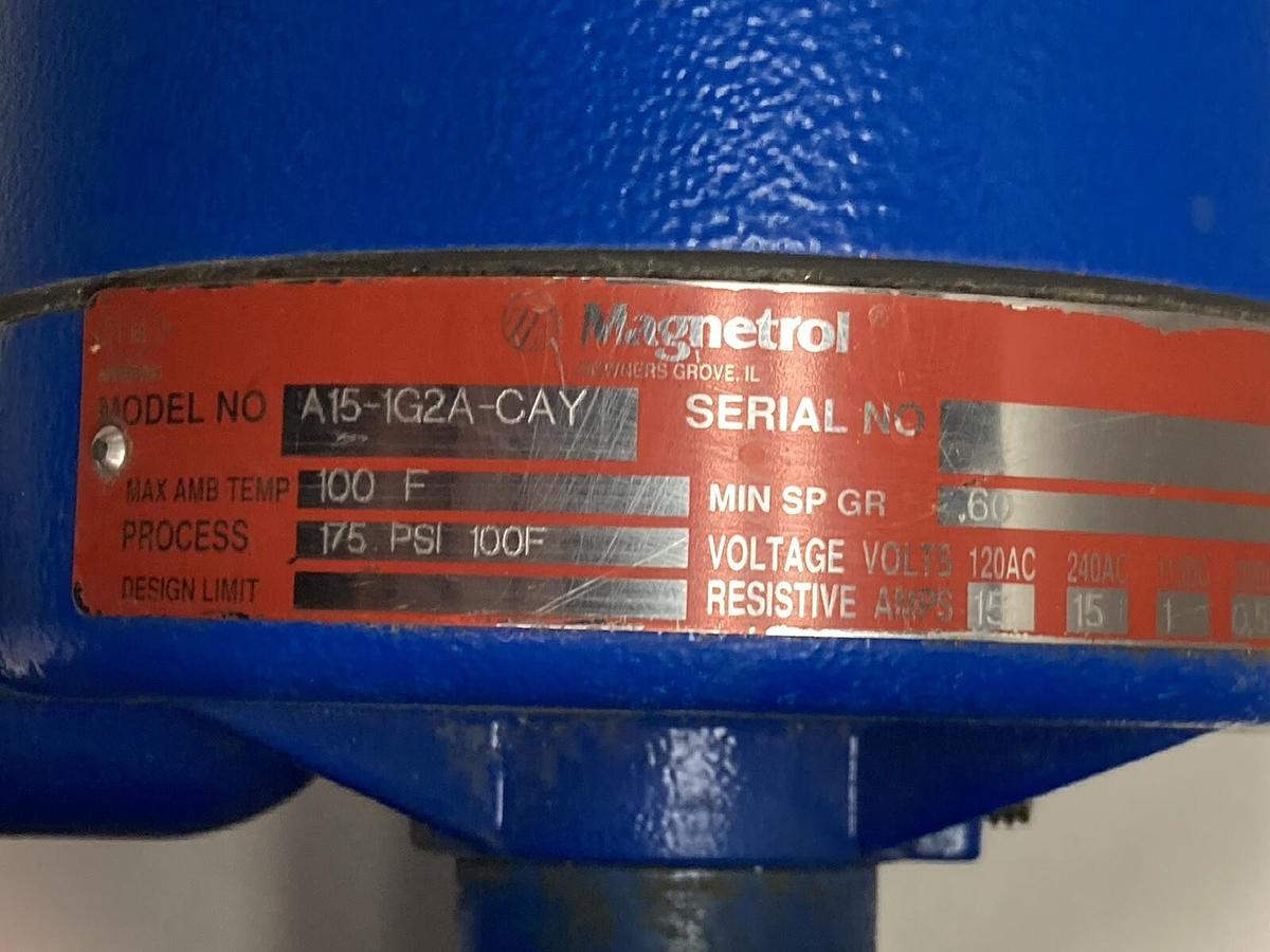 Magnetrol,A15-1G2A-CAY,Displacement Level Switch 120/240VAC
