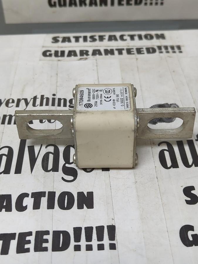 BUSSMANN,170M4609,SEMICONDUCTOR FUSE 250 AMP NOS