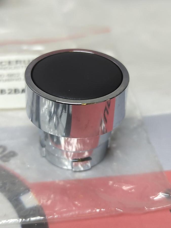 CERUS,CB2BA2,BLACK PUSHBUTTON LOT OF 2 NOS