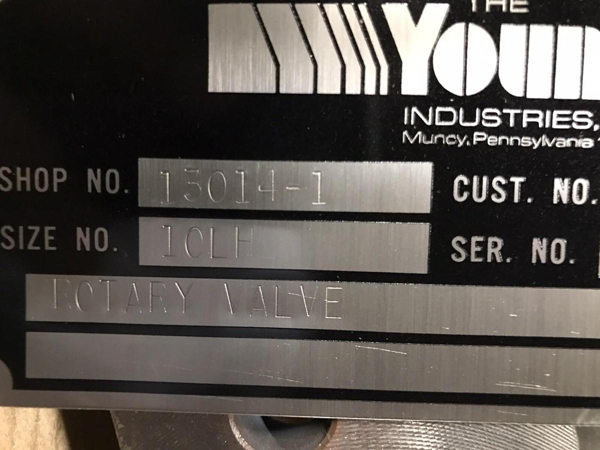 Used Young,13014-1,10 INCH Rotary Valve 10LH