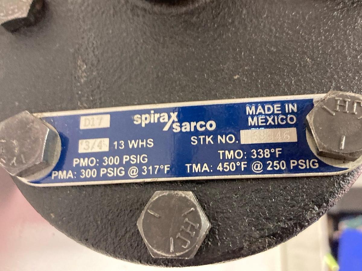Spirax Sarco,D17 69846,Steam Trap 3/4 Inch FNPT 13 WHS 300 PSIG
