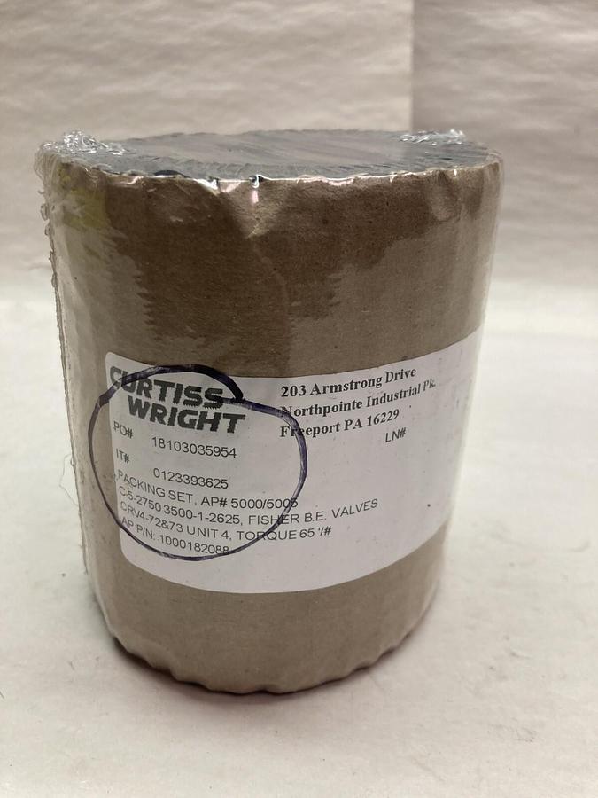 Curtiss Wright,1000182088,Packing Rings