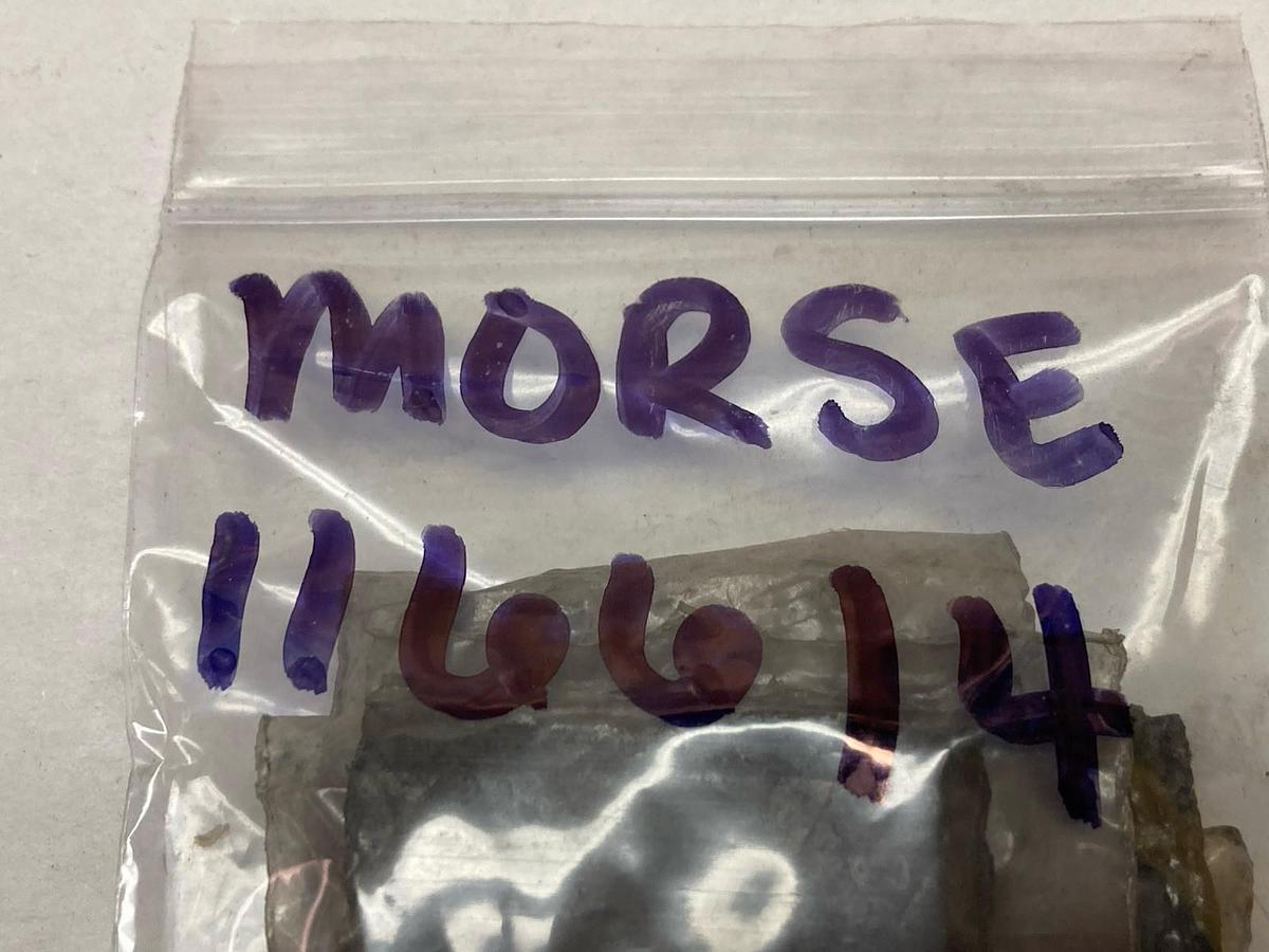 Morse,116614,Roller Links LOT OF 14