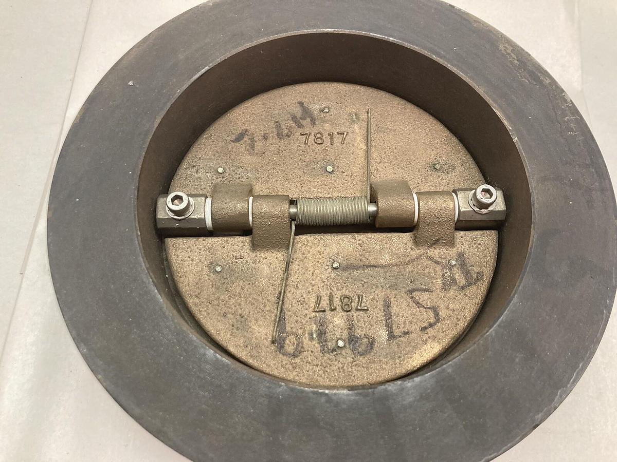Used Technocheck Valve,Model 5050,Iron Wafer Check Valve 125 Ansi