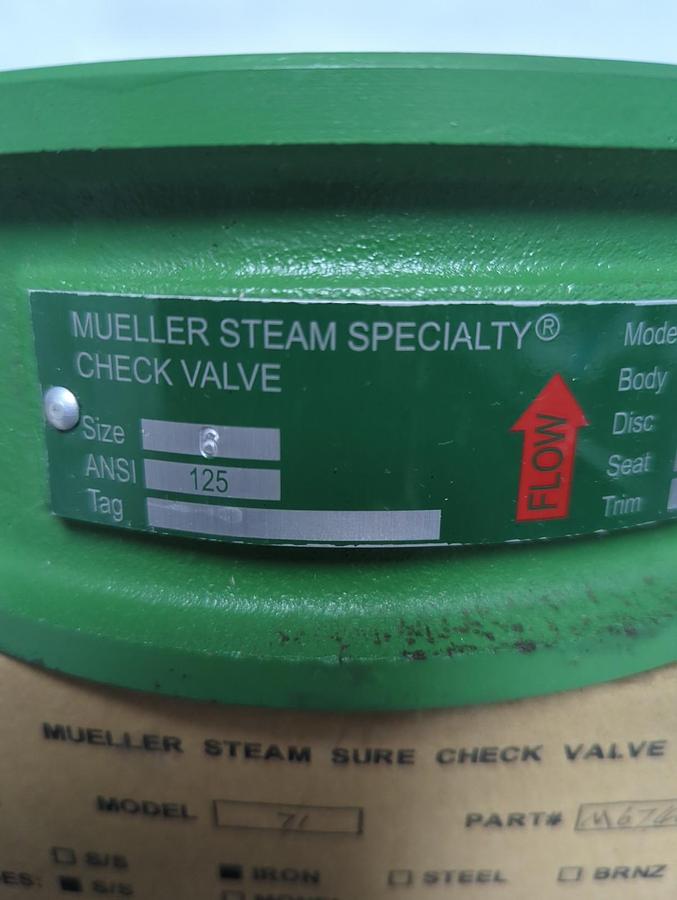 MUELLER,M6740588,STEAM SURE CHECK VALVE 6 INCH IRON BODY S/S SHAFT&GUIDES NOS