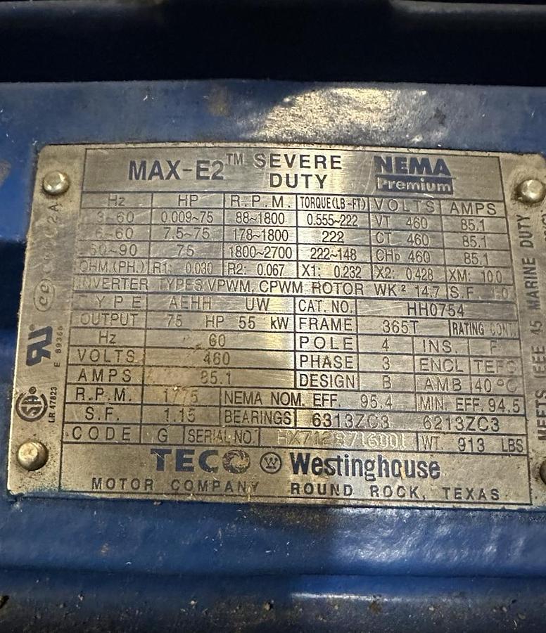 Weir/Warman,MDS43097,4" Vertical Slurry Pump w/75Hp Motor