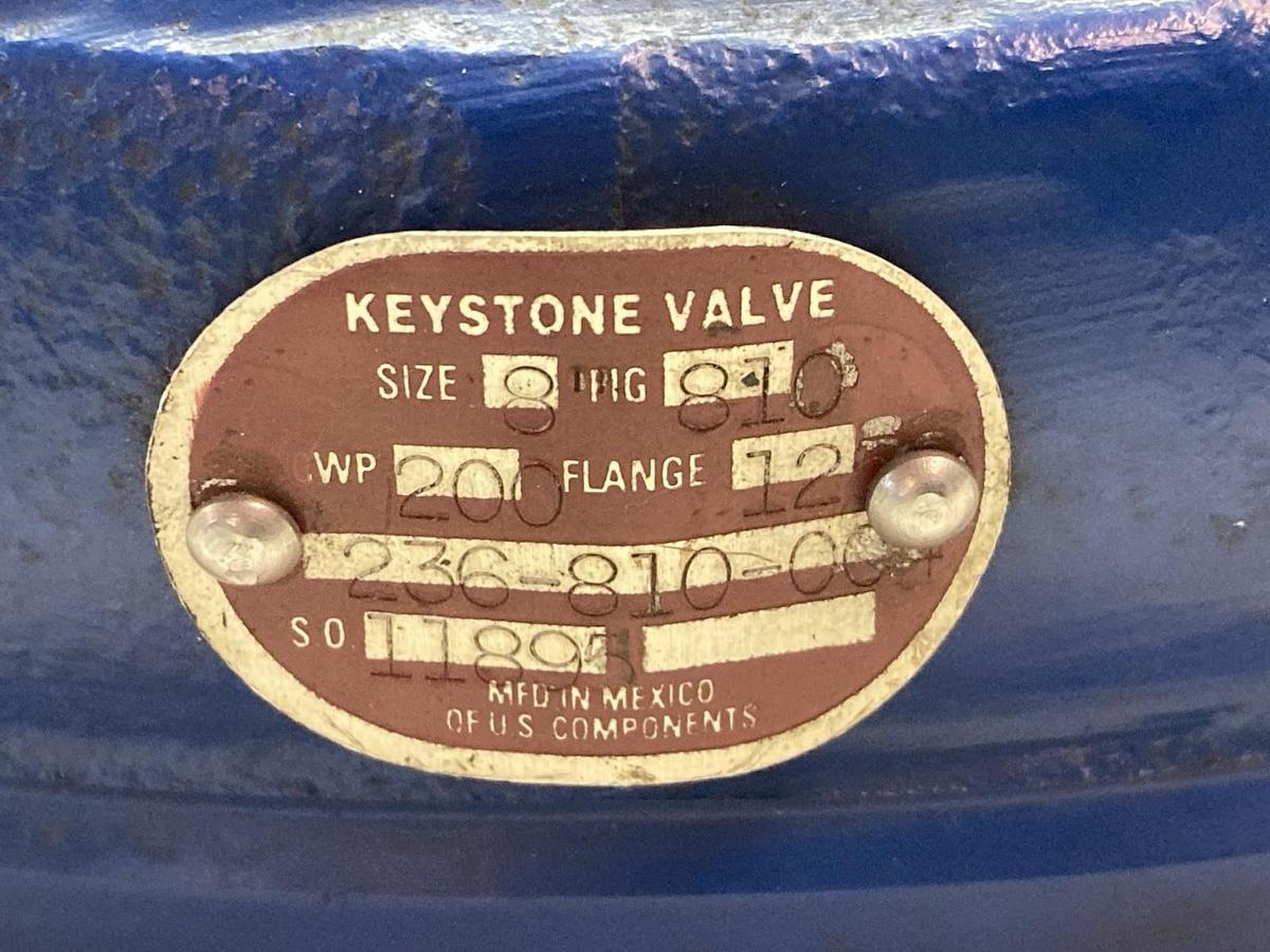 Keystone Valve,236-810-00,12 Inch Bore Swing Gate Check Valve Size 8 200 WP