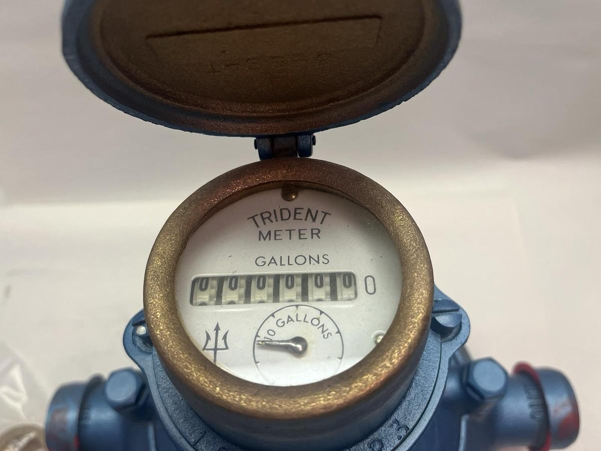 NEPTUNE,MP1175,TRIDENT WATER METER 1"