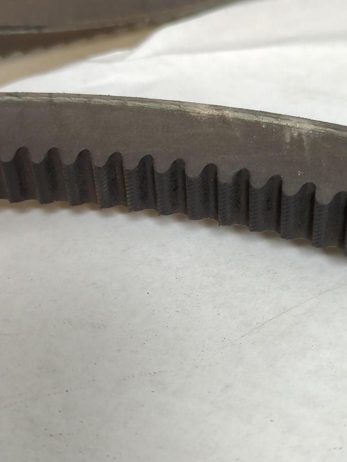 TB WOOD'S,8VX1250,V BELT 125 INCH LONG